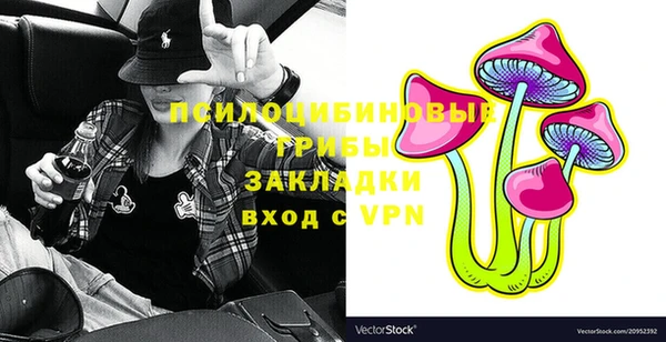 a pvp Алексин