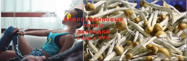 МДПВ Алексеевка