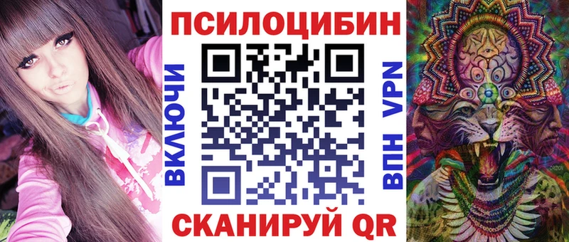 Псилоцибиновые грибы Psilocybe  Купить  Куса 